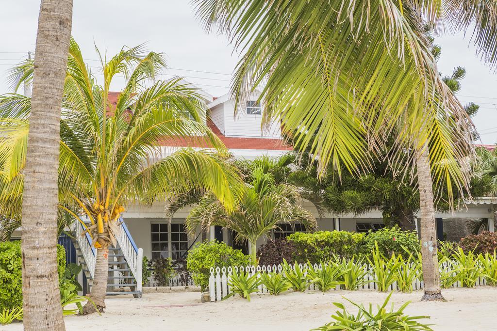 Casa Brisa Guest House 圣佩德罗 外观 照片
